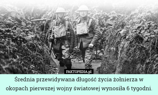 Średnia przewidywana długość życia żołnierza w okopach pierwszej wojny światowej wynosiła 6 tygodni. 