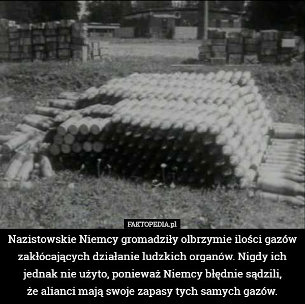 Nazistowskie Niemcy gromadziły olbrzymie ilości gazów zakłócających działanie ludzkich organów. Nigdy ich jednak nie użyto, ponieważ Niemcy błędnie sądzili,
że alianci mają swoje zapasy tych samych gazów. 