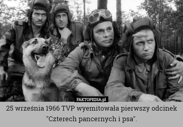 25 września 1966 TVP wyemitowała pierwszy odcinek "Czterech pancernych i psa". 