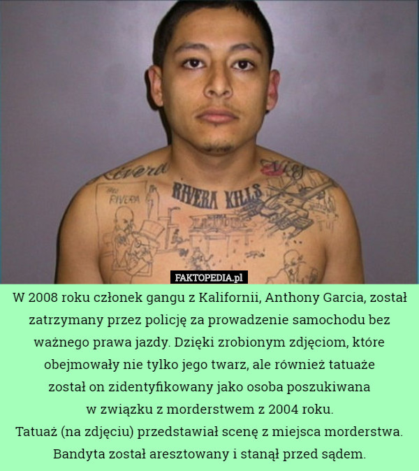 W 2008 roku członek gangu z Kalifornii, Anthony Garcia, został zatrzymany przez policję za prowadzenie samochodu bez ważnego prawa jazdy. Dzięki zrobionym zdjęciom, które obejmowały nie tylko jego twarz, ale również tatuaże
 został on zidentyfikowany jako osoba poszukiwana
 w związku z morderstwem z 2004 roku.
 Tatuaż (na zdjęciu) przedstawiał scenę z miejsca morderstwa.
 Bandyta został aresztowany i stanął przed sądem. 