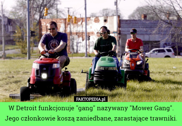 W Detroit funkcjonuje "gang" nazywany "Mower Gang". Jego członkowie koszą zaniedbane, zarastające trawniki. 