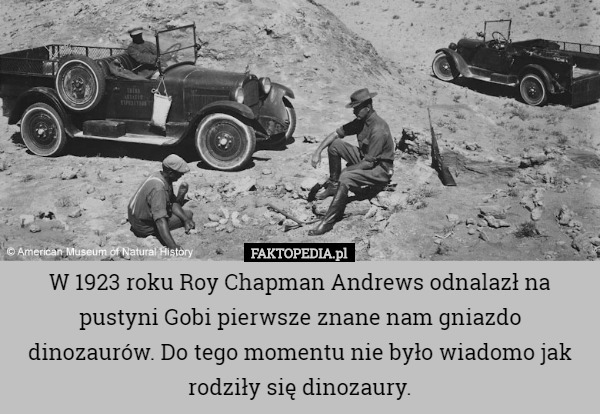 W 1923 roku Roy Chapman Andrews odnalazł na pustyni Gobi pierwsze znane nam gniazdo dinozaurów. Do tego momentu nie było wiadomo jak rodziły się dinozaury. 