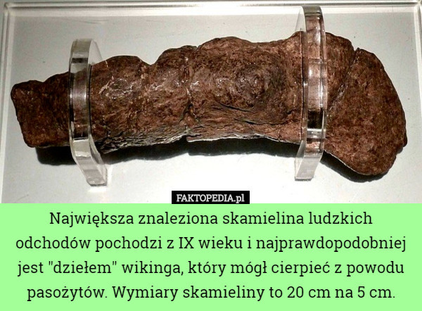 Największa znaleziona skamielina ludzkich odchodów pochodzi z IX wieku i najprawdopodobniej jest "dziełem" wikinga, który mógł cierpieć z powodu pasożytów. Wymiary skamieliny to 20 cm na 5 cm. 