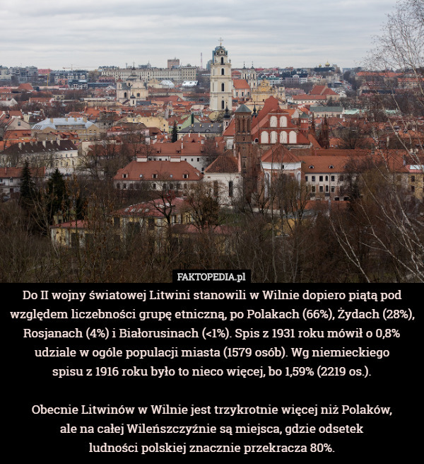 Do II wojny światowej Litwini stanowili w Wilnie dopiero piątą pod względem liczebności grupę etniczną, po Polakach (66%), Żydach (28%), Rosjanach (4%) i Białorusinach (