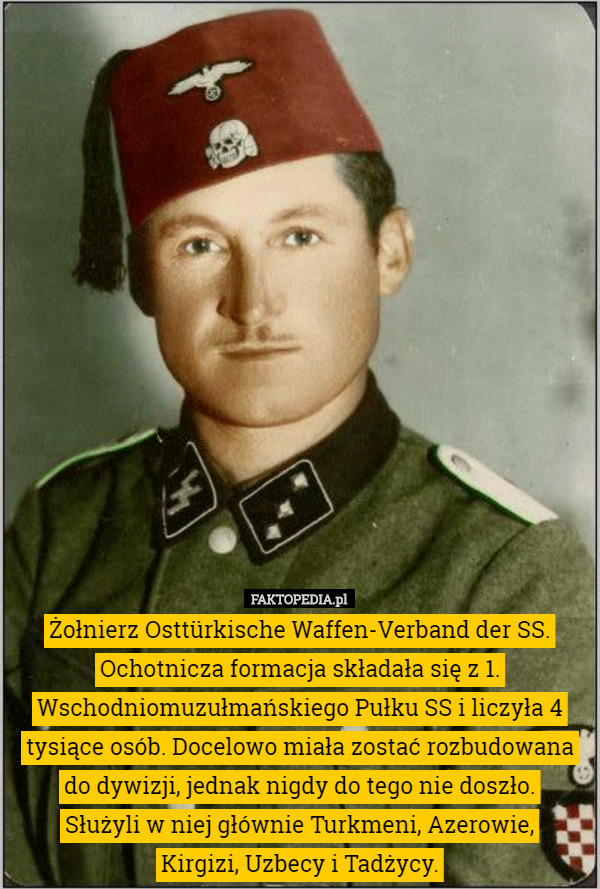 Żołnierz Osttürkische Waffen-Verband der SS.
Ochotnicza formacja składała się z 1. Wschodniomuzułmańskiego Pułku SS i liczyła 4 tysiące osób. Docelowo miała zostać rozbudowana do dywizji, jednak nigdy do tego nie doszło.
 Służyli w niej głównie Turkmeni, Azerowie,
 Kirgizi, Uzbecy i Tadżycy. 