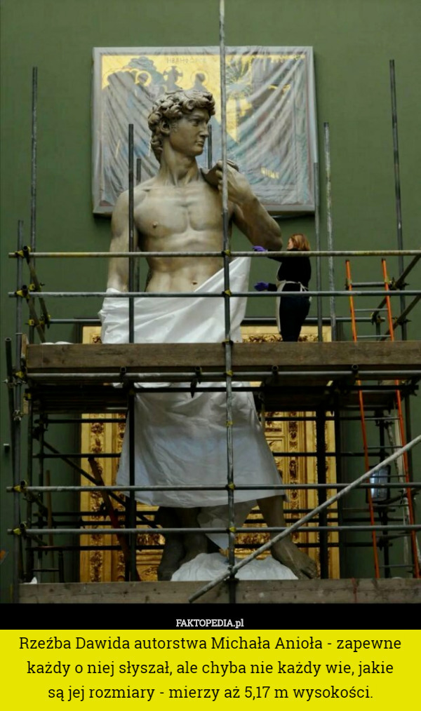 Rzeźba Dawida autorstwa Michała Anioła - zapewne każdy o niej słyszał, ale chyba nie każdy wie, jakie
 są jej rozmiary - mierzy aż 5,17 m wysokości. 