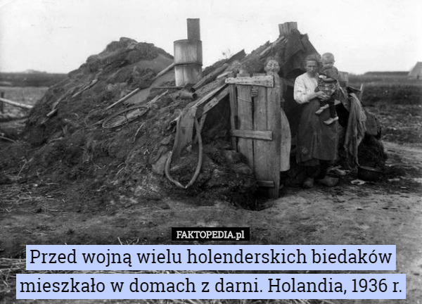 Przed wojną wielu holenderskich biedaków mieszkało w domach z darni. Holandia, 1936 r. 
