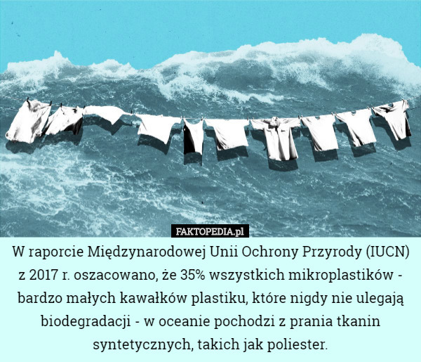 W raporcie Międzynarodowej Unii Ochrony Przyrody (IUCN) z 2017 r. oszacowano, że 35% wszystkich mikroplastików - bardzo małych kawałków plastiku, które nigdy nie ulegają biodegradacji - w oceanie pochodzi z prania tkanin syntetycznych, takich jak poliester. 