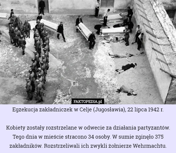 Egzekucja zakładniczek w Celje (Jugosławia), 22 lipca 1942 r.

Kobiety zostały rozstrzelane w odwecie za działania partyzantów. Tego dnia w mieście stracono 34 osoby. W sumie zginęło 375 zakładników. Rozstrzeliwali ich zwykli żołnierze Wehrmachtu. 