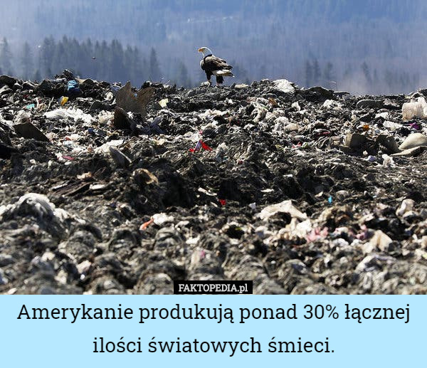 Amerykanie produkują ponad 30% łącznej ilości światowych śmieci. 