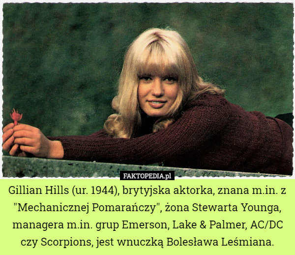 Gillian Hills (ur. 1944), brytyjska aktorka, znana m.in. z "Mechanicznej Pomarańczy", żona Stewarta Younga, managera m.in. grup Emerson, Lake & Palmer, AC/DC czy Scorpions, jest wnuczką Bolesława Leśmiana. 