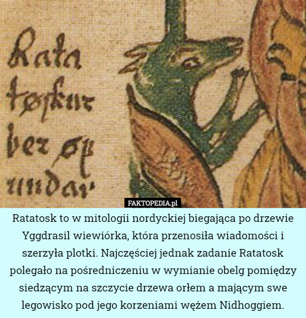 Ratatosk to w mitologii nordyckiej biegająca po drzewie Yggdrasil wiewiórka, która przenosiła wiadomości i szerzyła plotki. Najczęściej jednak zadanie Ratatosk polegało na pośredniczeniu w wymianie obelg pomiędzy siedzącym na szczycie drzewa orłem a mającym swe legowisko pod jego korzeniami wężem Nidhoggiem. 