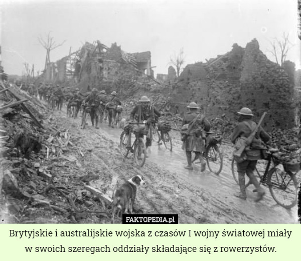 Brytyjskie i australijskie wojska z czasów I wojny światowej miały w swoich szeregach oddziały składające się z rowerzystów. 