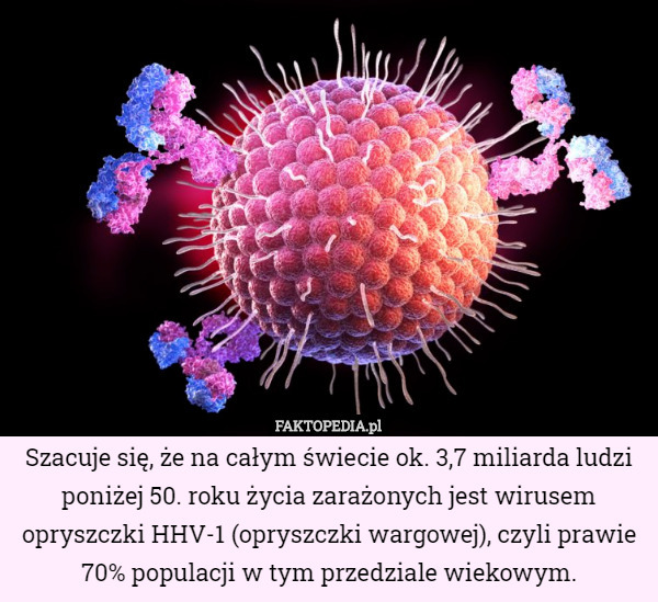 Szacuje się, że na całym świecie ok. 3,7 miliarda ludzi poniżej 50. roku życia zarażonych jest wirusem opryszczki HHV-1 (opryszczki wargowej), czyli prawie 70% populacji w tym przedziale wiekowym. 