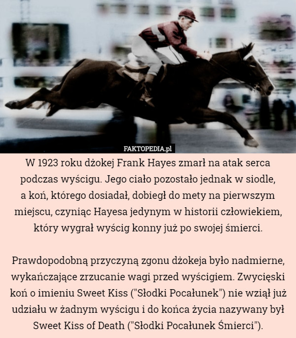 W 1923 roku dżokej Frank Hayes zmarł na atak serca podczas wyścigu. Jego ciało pozostało jednak w siodle,
 a koń, którego dosiadał, dobiegł do mety na pierwszym miejscu, czyniąc Hayesa jedynym w historii człowiekiem, który wygrał wyścig konny już po swojej śmierci.

 Prawdopodobną przyczyną zgonu dżokeja było nadmierne, wykańczające zrzucanie wagi przed wyścigiem. Zwycięski koń o imieniu Sweet Kiss ("Słodki Pocałunek") nie wziął już udziału w żadnym wyścigu i do końca życia nazywany był Sweet Kiss of Death ("Słodki Pocałunek Śmierci"). 