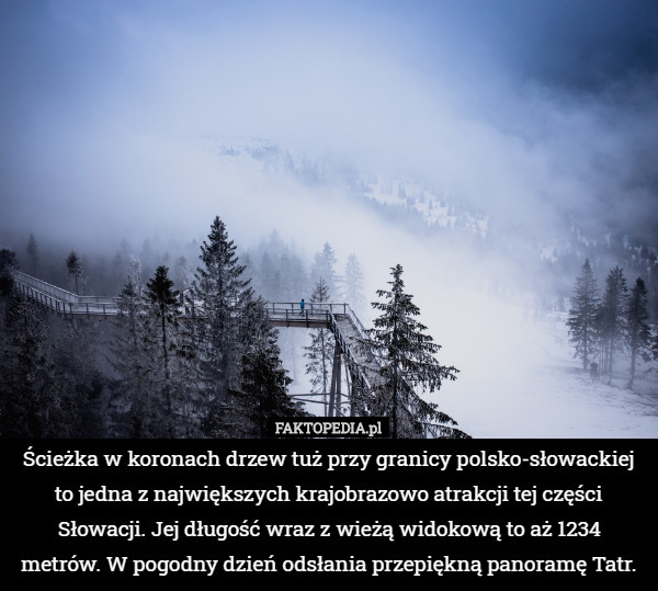 Ścieżka w koronach drzew tuż przy granicy polsko-słowackiej to jedna z największych krajobrazowo atrakcji tej części Słowacji. Jej długość wraz z wieżą widokową to aż 1234 metrów. W pogodny dzień odsłania przepiękną panoramę Tatr. 