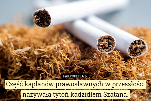 Część kapłanów prawosławnych w przeszłości nazywała tytoń kadzidłem Szatana. 