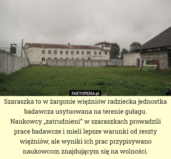 Szaraszka to w żargonie więźniów radziecka jednostka badawcza usytuowana na terenie gułagu.
 Naukowcy „zatrudnieni” w szaraszkach prowadzili prace badawcze i mieli lepsze warunki od reszty więźniów, ale wyniki ich prac przypisywano naukowcom znajdującym się na wolności. 