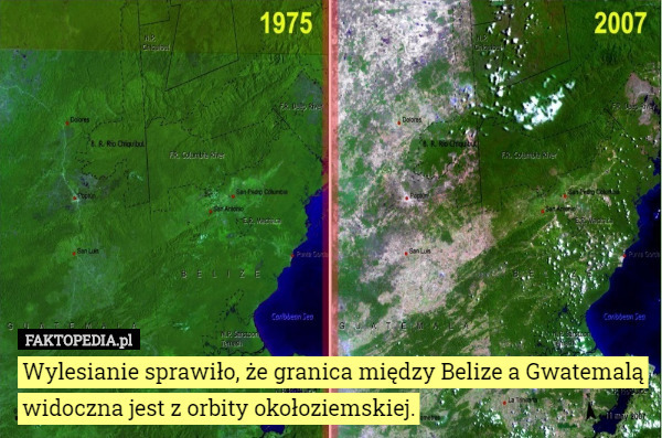 Wylesianie sprawiło, że granica między Belize a Gwatemalą widoczna jest z orbity okołoziemskiej. 