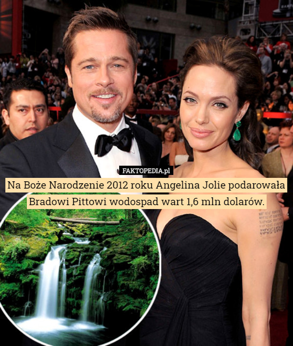 Na Boże Narodzenie 2012 roku Angelina Jolie podarowała Bradowi Pittowi wodospad wart 1,6 mln dolarów. 