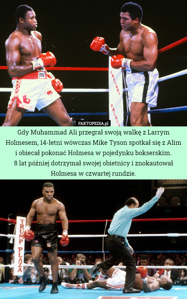 Gdy Muhammad Ali przegrał swoją walkę z Larrym Holmesem, 14-letni wówczas Mike Tyson spotkał się z Alim i obiecał pokonać Holmesa w pojedynku bokserskim.
8 lat później dotrzymał swojej obietnicy i znokautował Holmesa w czwartej rundzie. 