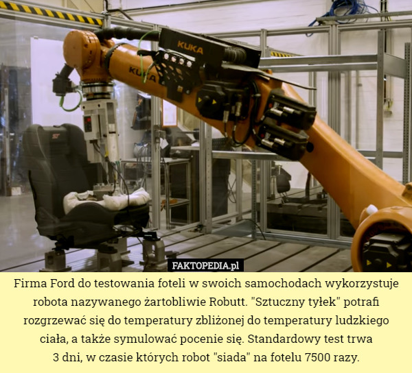 Firma Ford do testowania foteli w swoich samochodach wykorzystuje robota nazywanego żartobliwie Robutt. "Sztuczny tyłek" potrafi rozgrzewać się do temperatury zbliżonej do temperatury ludzkiego ciała, a także symulować pocenie się. Standardowy test trwa
 3 dni, w czasie których robot "siada" na fotelu 7500 razy. 