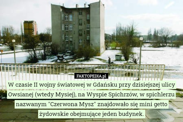 W czasie II wojny światowej w Gdańsku przy dzisiejszej ulicy Owsianej (wtedy Mysiej), na Wyspie Spichrzów, w spichlerzu nazwanym "Czerwona Mysz" znajdowało się mini getto żydowskie obejmujące jeden budynek. 