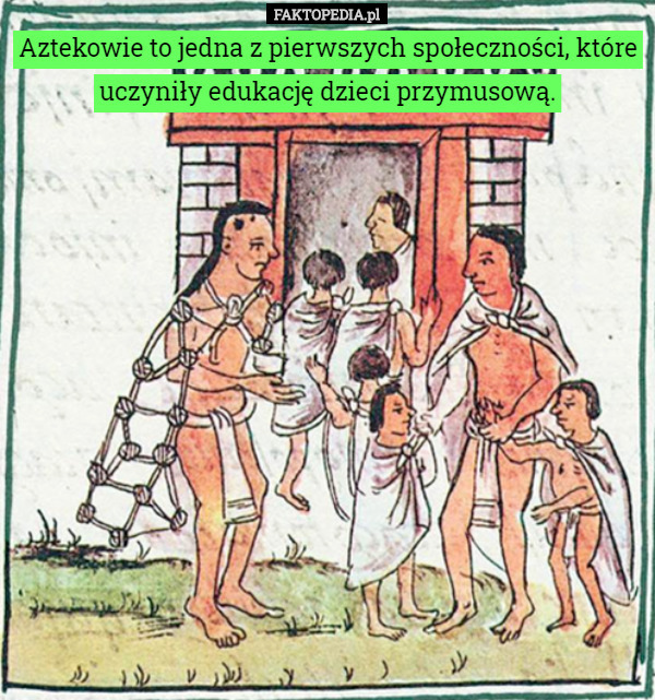 Aztekowie to jedna z pierwszych społeczności, które uczyniły edukację dzieci przymusową. 