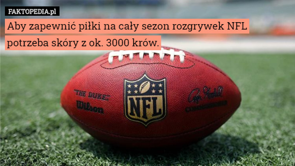 Aby zapewnić piłki na cały sezon rozgrywek NFL potrzeba skóry z ok. 3000 krów. 