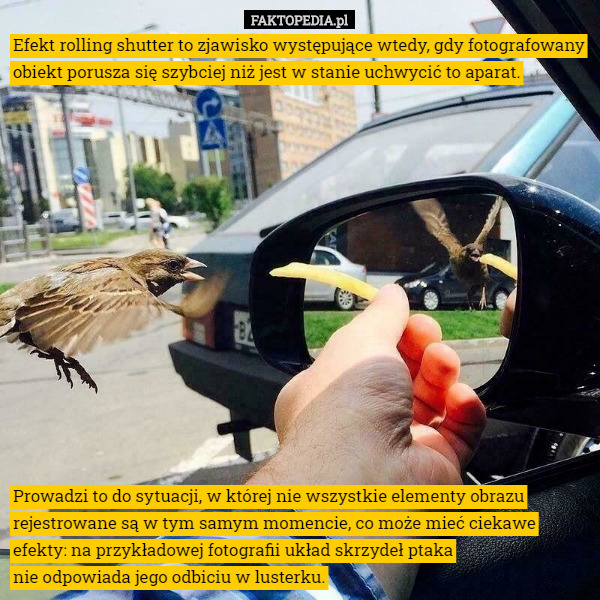 Efekt rolling shutter to zjawisko występujące wtedy, gdy fotografowany obiekt porusza się szybciej niż jest w stanie uchwycić to aparat. Prowadzi to do sytuacji, w której nie wszystkie elementy obrazu rejestrowane są w tym samym momencie, co może mieć ciekawe efekty: na przykładowej fotografii układ skrzydeł ptaka
 nie odpowiada jego odbiciu w lusterku. 