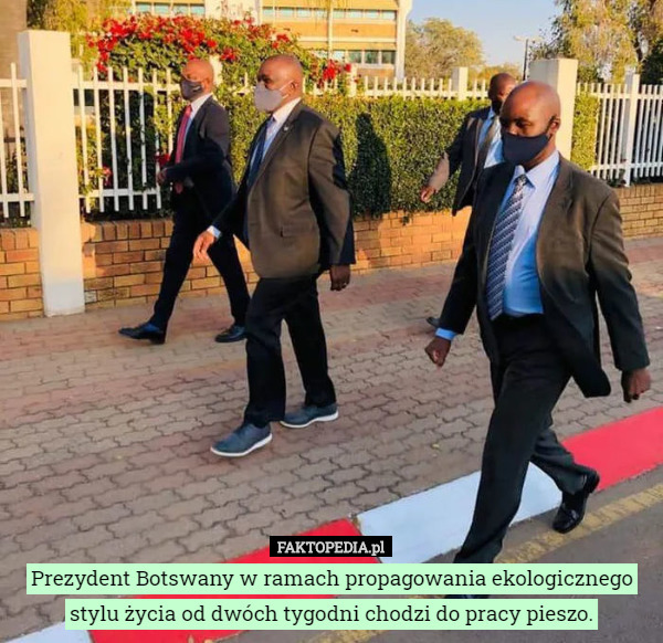 Prezydent Botswany w ramach propagowania ekologicznego stylu życia od dwóch tygodni chodzi do pracy pieszo. 