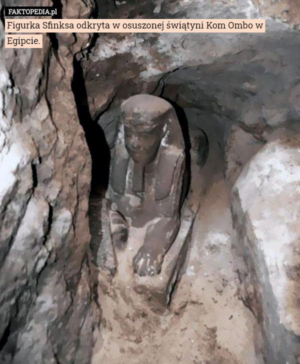 Figurka Sfinksa odkryta w osuszonej świątyni Kom Ombo w Egipcie. 