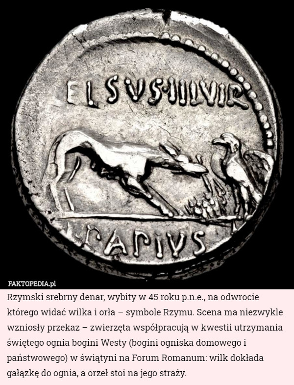 Rzymski srebrny denar, wybity w 45 roku p.n.e., na odwrocie którego widać wilka i orła – symbole Rzymu. Scena ma niezwykle wzniosły przekaz – zwierzęta współpracują w kwestii utrzymania świętego ognia bogini Westy (bogini ogniska domowego i państwowego) w świątyni na Forum Romanum: wilk dokłada gałązkę do ognia, a orzeł stoi na jego straży. 