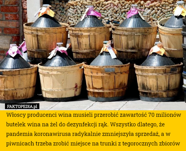 Włoscy producenci wina musieli przerobić zawartość 70 milionów butelek wina na żel do dezynfekcji rąk. Wszystko dlatego, że pandemia koronawirusa radykalnie zmniejszyła sprzedaż, a w piwnicach trzeba zrobić miejsce na trunki z tegorocznych zbiorów 