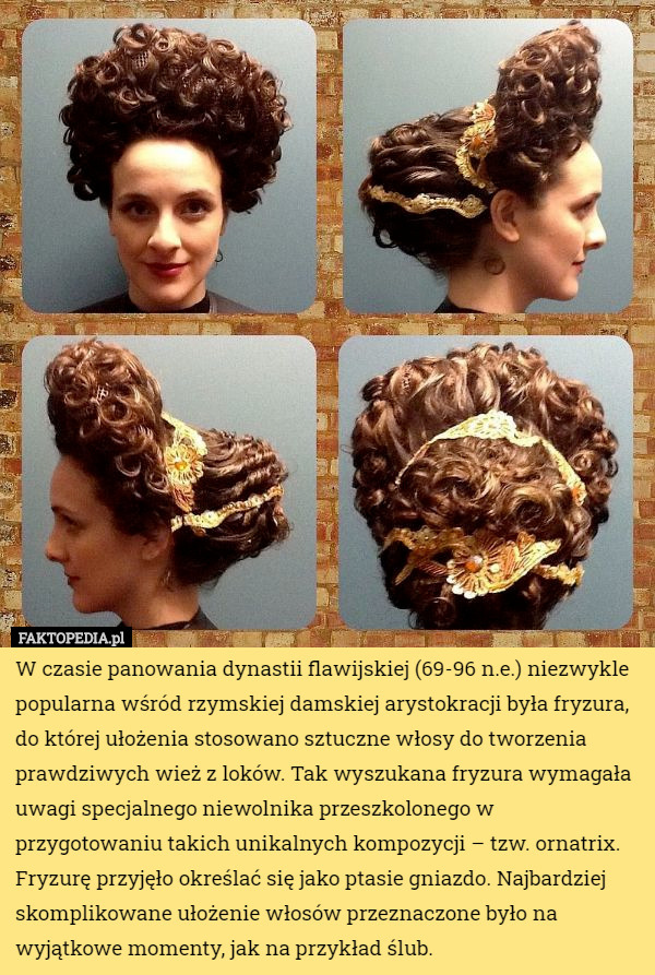 W czasie panowania dynastii flawijskiej (69-96 n.e.) niezwykle popularna wśród rzymskiej damskiej arystokracji była fryzura, do której ułożenia stosowano sztuczne włosy do tworzenia prawdziwych wież z loków. Tak wyszukana fryzura wymagała uwagi specjalnego niewolnika przeszkolonego w przygotowaniu takich unikalnych kompozycji – tzw. ornatrix.
Fryzurę przyjęło określać się jako ptasie gniazdo. Najbardziej skomplikowane ułożenie włosów przeznaczone było na wyjątkowe momenty, jak na przykład ślub. 