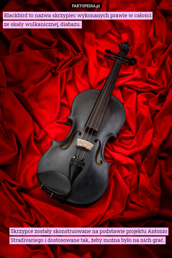 Blackbird to nazwa skrzypiec wykonanych prawie w całości
ze skały wulkanicznej, diabazu. Skrzypce zostały skonstruowane na podstawie projektu Antonio Stradivariego i dostosowane tak, żeby można było na nich grać. 