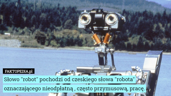 Słowo "robot" pochodzi od czeskiego słowa "robota" oznaczającego nieodpłatną , często przymusową, pracę. 