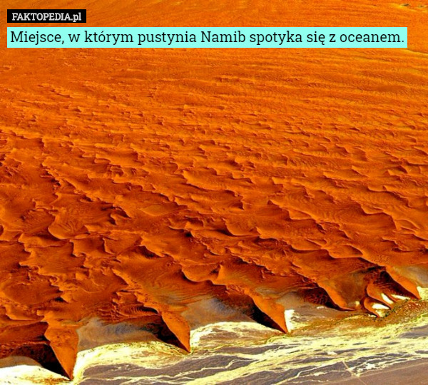 Miejsce, w którym pustynia Namib spotyka się z oceanem. 