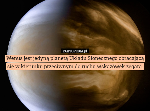 Wenus jest jedyną planetą Układu Słonecznego obracającą się w kierunku przeciwnym do ruchu wskazówek zegara. 