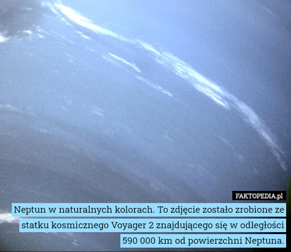 Neptun w naturalnych kolorach. To zdjęcie zostało zrobione ze statku kosmicznego Voyager 2 znajdującego się w odległości 590 000 km od powierzchni Neptuna. 