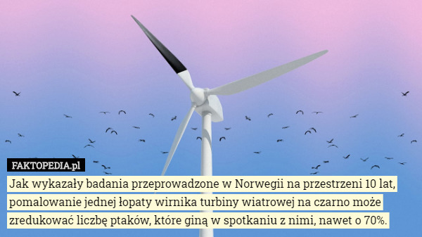 Jak wykazały badania przeprowadzone w Norwegii na przestrzeni 10 lat, pomalowanie jednej łopaty wirnika turbiny wiatrowej na czarno może zredukować liczbę ptaków, które giną w spotkaniu z nimi, nawet o 70%. 