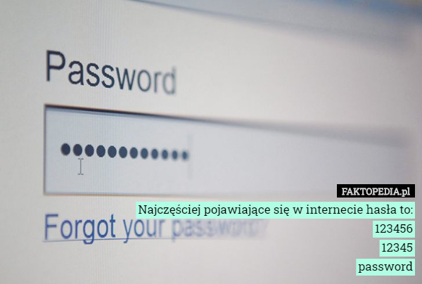 Najczęściej pojawiające się w internecie hasła to:
123456
12345
password 