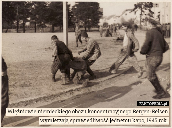 Więźniowie niemieckiego obozu koncentracyjnego Bergen-Belsen wymierzają sprawiedliwość jednemu kapo, 1945 rok. 