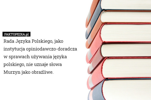 Rada Języka Polskiego, jako instytucja opiniodawczo-doradcza w sprawach używania języka polskiego, nie uznaje słowa Murzyn jako obraźliwe. 