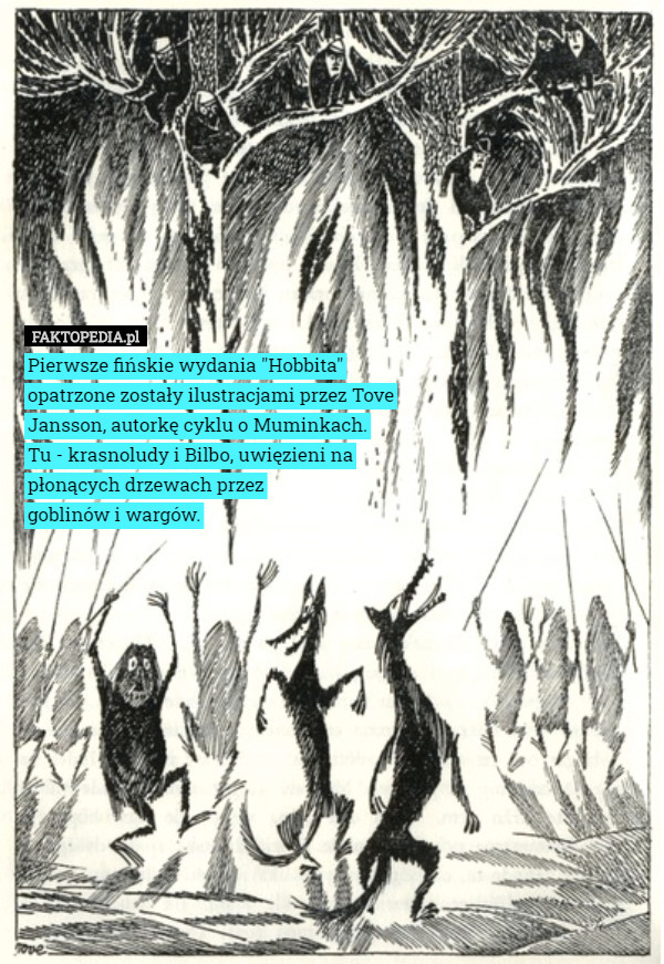 Pierwsze fińskie wydania "Hobbita" opatrzone zostały ilustracjami przez Tove Jansson, autorkę cyklu o Muminkach.
Tu - krasnoludy i Bilbo, uwięzieni na płonących drzewach przez
 goblinów i wargów. 