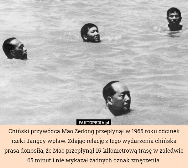 Chiński przywódca Mao Zedong przepłynął w 1965 roku odcinek rzeki Jangcy wpław. Zdając relację z tego wydarzenia chińska prasa donosiła, że Mao przepłynął 15-kilometrową trasę w zaledwie 65 minut i nie wykazał żadnych oznak zmęczenia. 