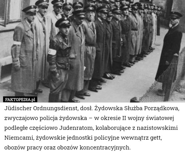 Jüdischer Ordnungsdienst, dosł. Żydowska Służba Porządkowa, zwyczajowo policja żydowska – w okresie II wojny światowej podległe częściowo Judenratom, kolaborujące z nazistowskimi Niemcami, żydowskie jednostki policyjne wewnątrz gett,
 obozów pracy oraz obozów koncentracyjnych. 