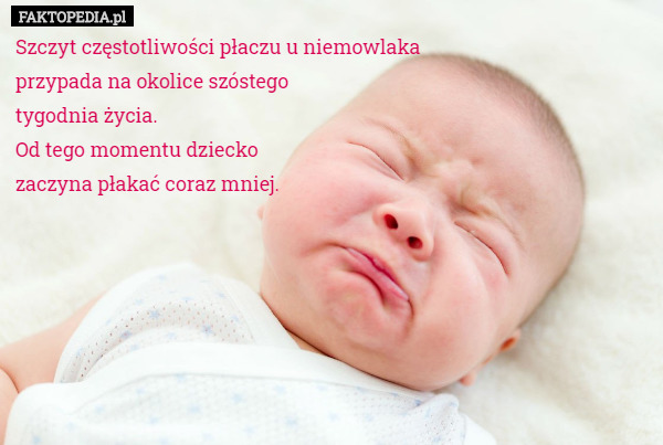 Szczyt częstotliwości płaczu u niemowlaka
 przypada na okolice szóstego
tygodnia życia.
 Od tego momentu dziecko
 zaczyna płakać coraz mniej. 