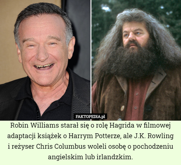 Robin Williams starał się o rolę Hagrida w filmowej adaptacji książek o Harrym Potterze, ale J.K. Rowling
i reżyser Chris Columbus woleli osobę o pochodzeniu angielskim lub irlandzkim. 