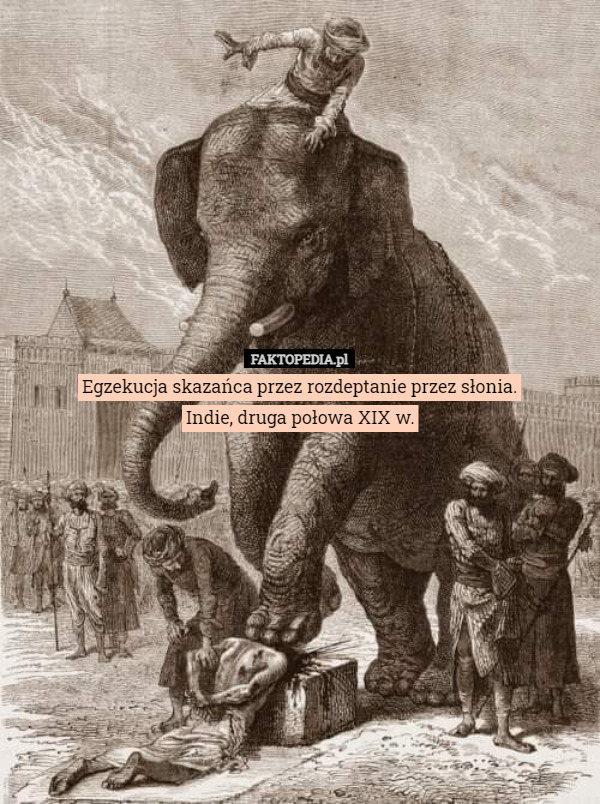 Egzekucja skazańca przez rozdeptanie przez słonia.
Indie, druga połowa XIX w. 
